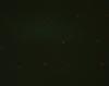 LC 13 Background FL